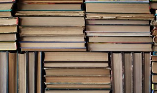 以诚待人者人亦诚而应的意思（以诚待人者人亦诚而应的意思是什么）