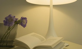 一寸光阴一寸金上一句 王贞白白鹿洞二首其一原文及翻译