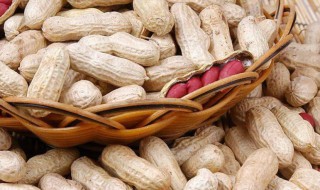 冬季吃什么进补(冬季吃什么进补比较好)