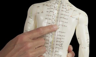 生殖器是什么穴位 生殖器是哪个穴位