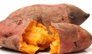 夏季便秘吃什么好（夏季便秘吃什么好呢）