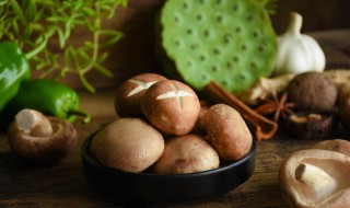 老人吃什么可以增强抵抗力 老人吃什么可以增强抵抗力的