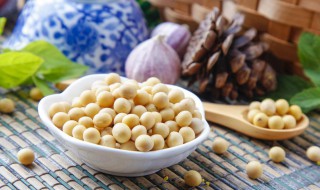 小孩发育吃什么（小孩发育吃什么中药可以长高）