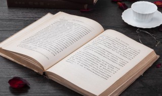 宿卫是什么意思（宿卫是什么意思文言文）