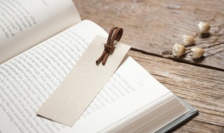 碡怎么读 碌碡怎么读