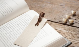 曰能组什么词(旦能组什么词)