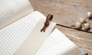 你说的不真诚的话和典故是什么意思（有人说你不真诚）