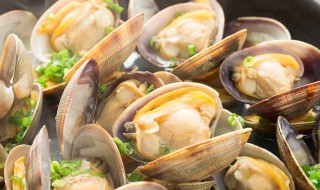 男人秋天吃什么补肾(男人秋天吃什么补肾养精)