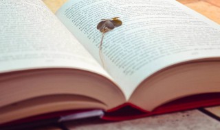 凝霜是什么意思 凝霜解释