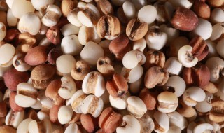 吃什么祛除体内湿气（吃什么祛除体内湿气最快）