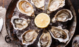 牡蛎的功效与作用是什么 牡蛎的功效与作用功效和作用是什么