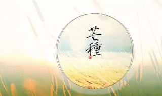 芒种吃什么养生（芒种吃啥对身体好）