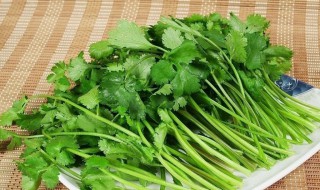 吃什么肾排毒 吃什么肾排毒效果好