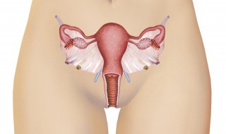 女性结扎前后要注意什么 女性结扎前后要注意什么问题