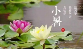 小暑喝什么养生汤 小暑饮什么汤