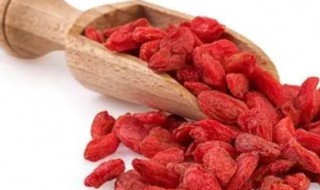 夏天补肾吃什么 夏天补肾吃什么食物