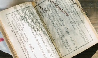 塑造人物形象的方法 塑造人物形象的方法有哪些