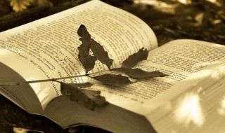 屡屡是什么意思（屡败屡战是什么意思）