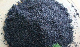 吃什么可以生发养发（吃什么可以生发养发?）