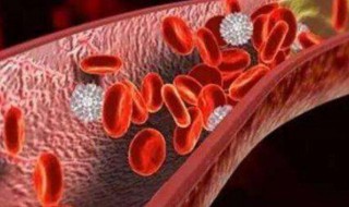 吃什么防止血栓（吃什么防止血栓发生）