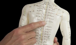 胳膊肘窝是什么穴位（胳肘窝是哪个部位）