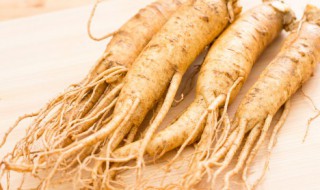 老年人适合什么人参（老年人适合什么人参泡水喝）