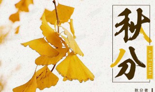 秋分时节适合吃什么养生汤 秋分时节适合喝什么汤