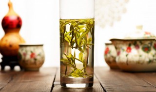 哪些茶叶适合冷泡（哪些茶叶适合冷泡还是热泡）