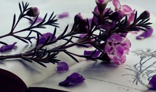 玉都是什么意思（玉都是指哪里）