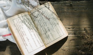 人非圣贤孰能无过谁说的 人非圣贤孰能无过谁说的名言