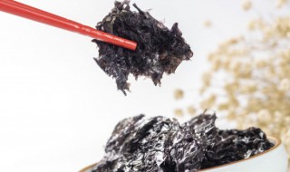 紫菜变质是什么样的 紫菜变质是什么样子的?