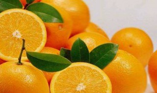 体内湿气重吃什么水果好（体内湿气重吃什么水果好一点）