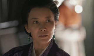 姨娘是什么意思（红楼梦姨娘是什么意思）