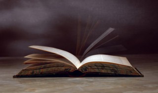 郦食其怎么读 郦食其读音与审食其