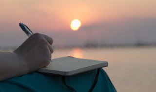 桕树怎么读 桕树怎么读音