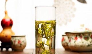 上班灰尘多喝什么茶有好处 经常在灰尘大的地方工作要喝什么茶