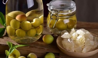 青梅酒怎么做（青梅酒怎么做菜）