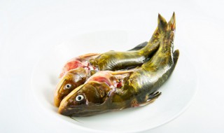 黄骨鱼什么鱼 黄骨鱼什么鱼最好吃
