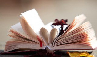 仁心仁术成语解释 仁心仁术的解释