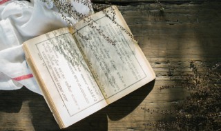 炳若观火成语意思（炳如观火 释义）