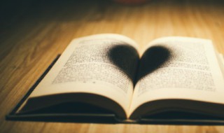 成语舍本逐末意思 舍本逐末的词语