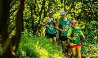 什么是定向运动 啥是定向运动