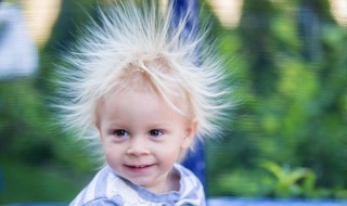 静电吸附装置的原理是什么（静电吸附装置的组成）