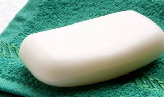 什么是肥皂（什么是肥皂花）