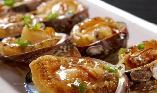 鲍鱼的营养价值和功效(鲍鱼的营养价值和功效百度百科)