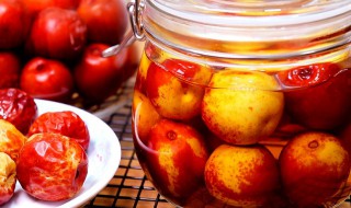 酒浸枣子怎么做(酒枣怎么做的)