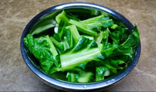 君达菜的做法 君达菜的做法窍门