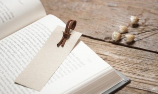 呓语怎么读(呓语怎么读拼音)