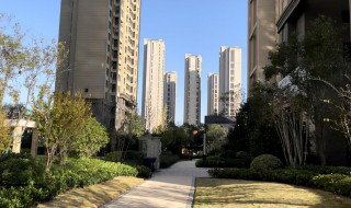 小区楼长职责和作用是什么（小区楼道长职责）