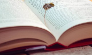 薄暮冥冥意思(薄暮冥冥的意思)